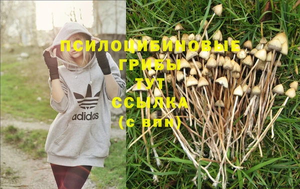 jwh Абинск
