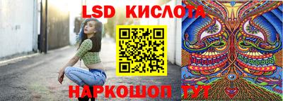 спайс Кандалакша