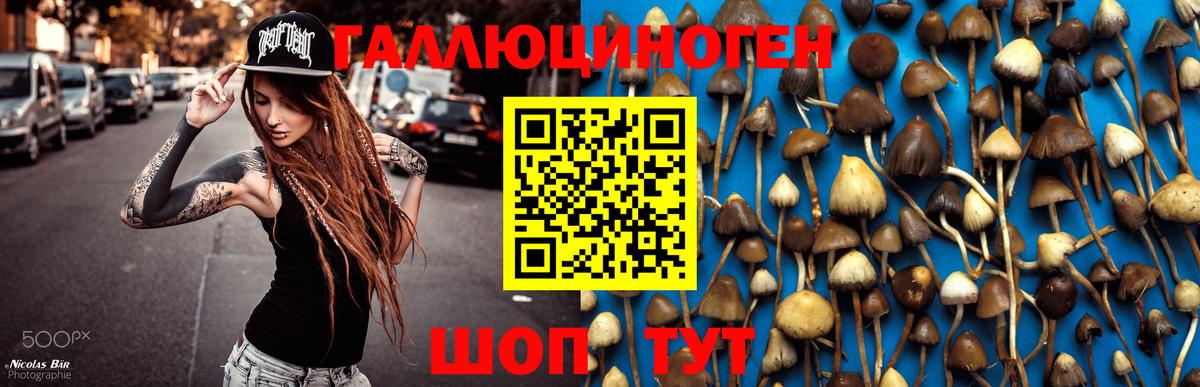 Галлюциногенные грибы Magic Shrooms  Галлюциногенные грибы мухоморы  Комсомольск-на-Амуре  Вход с VPN 
