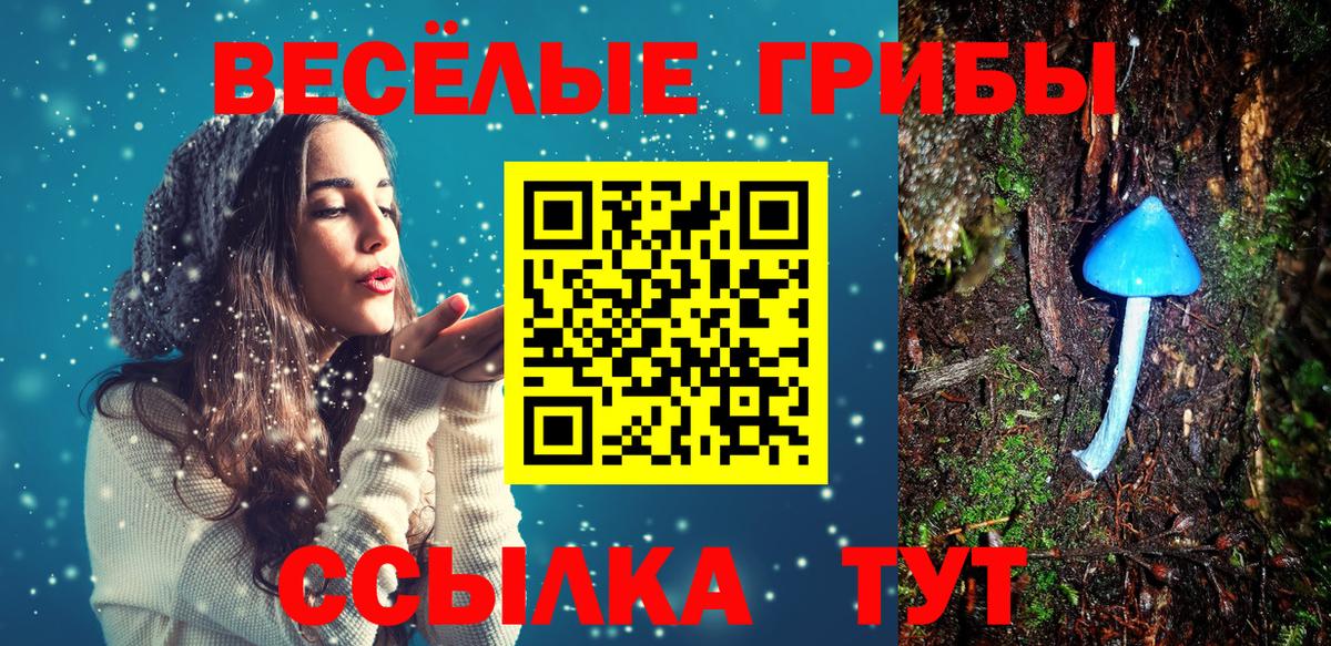 Галлюциногенные грибы GOLDEN TEACHER Комсомольск-на-Амуре