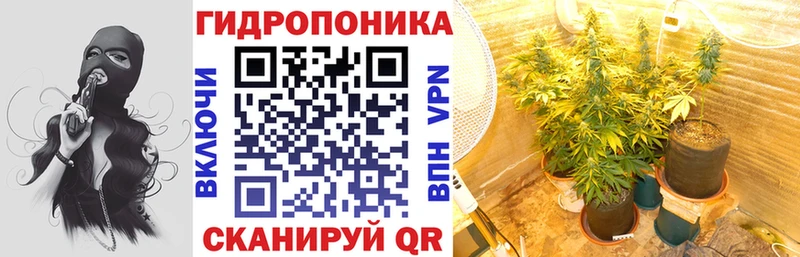 Каннабис сатива  Комсомольск-на-Амуре 